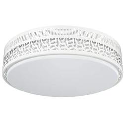 FaithSail 14 inch LED Ceiling Light Fixtures, 50W 5500 Lumens LED Flush Mount, Dimmable, 4000K, Round LED Ceiling Light for Bedroom, Living Room, Kitchen, White Metal Decor Finish