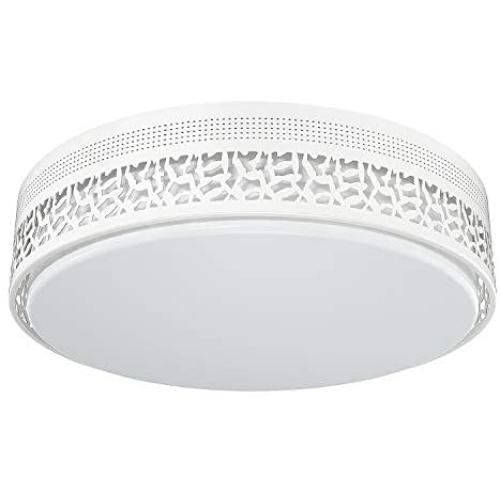 FaithSail 14 inch LED Ceiling Light Fixtures, 50W 5500 Lumens LED Flush Mount, Dimmable, 4000K, Round LED Ceiling Light for Bedroom, Living Room, Kitchen, White Metal Decor Finish