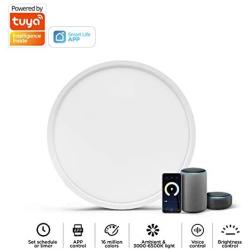 TALOYA Smart WiFi Ceiling Light(12 Inch-24W), Compatible with Alexa,Google,Remote Controller, Fixture with Ambient Light for Bedroom Living Room