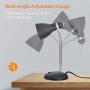 LEPOWER Metal Desk Lamp, Eye-Caring Table Lamp, Study Lamps with Flexible Goose Neck for Bedroom and Office ( Sandy Black)