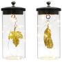 JHY DESIGN Set of 2 Leaf Pendant Decorative Lamp Battery Powered Lights 7'' Tall Cordless Lamp Light with Fairy Lights for Living Room Bedroom Kitchen Wedding Xmas