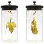 JHY DESIGN Set of 2 Leaf Pendant Decorative Lamp Battery Powered Lights 7'' Tall Cordless Lamp Light with Fairy Lights for Living Room Bedroom Kitchen Wedding Xmas JHY DESIGN Set of 2 Leaf Pendant Decorative Lamp Battery Powered Lights 7'' Tall Cordless Lamp Light with Fairy Lights for Living Room Bedroom Kitchen Wedding Xmas
