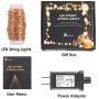 TaoTronics LED String Lights 33 ft with 100 LEDs, Waterproof Decorative Lights for Bedroom, Patio, Parties (Copper Wire Lights, Warm White)