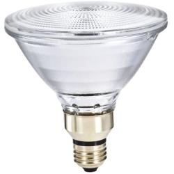 Philips 419424 Halogen PAR38 45 Watt Equivalent Flood Dimmable Standard Base Light Bulb