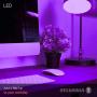 SYLVANIA LED Purple Glass Filament A19 Light Bulb, Dimmable, Efficient 4.5W, E26 Medium Base, 1 pack