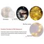 98ft Outdoor Led Rope Lights String with 300 LEDs Waterproof Decoration Starry Fairy Lights Plug in for Bedroom, Home, Garden, Patio Decor (98FT, Warm White)
