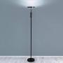 Daylight LED Floor Standing Lamp - Tall Modern Reading Task Uplight - 24W Adjustable Warm Cool Super Bright Natural Light Torchiere for Living Room, Dorm, Bedroom or Office - Dimmable - Black