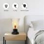 KAYBELE Accent Table Lamp, 13Tall Classic Uplight Table Lamp with Clear Glass Shade & Marbled Base Beside Lamp for Bedroom Living Room, Dining Room, Cafe Bar, Hallway, Church, Office-360 Lighting