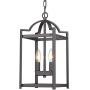 Emliviar 2-Light Lantern Pendant Light, Foyer Chandelier Hanging Light Fixture, Oil Rubbed Bronze Finish, P3038-2