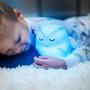 LumiPets LED Owl Battery-Operated/USB-Powered Silicone Night Light for Kids with 9 Tap-to-Activate Colors
