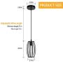 Pendant Light Fixture Industrial Hanging Lighting Fixture for Kitchen, Dining Room, Hallway, Adjustable Retro Hanging Ceiling Light Fixture Rustic Black Metal Oval Chandelier