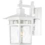 Nuvo Lighting 60/4951 Cove Neck One Light Wall Lantern/Arm Down 100 Watt A19 Max. Clear Seeded Glass White Outdoor Fixture