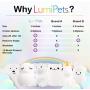 Lumipets Bear Night Light for Kids Cute Silicone LED Animal Baby Nursery Nightlight Which Changes Color by Tap - Portable and Rechargeable Gift Lamps for Toddler and Kids Bedroom