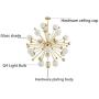 Sputnik Chandelier Lighting, Gold Mid Century Ceiling Lamp Modern Pendant Light Fixture Lighting Ceiling Light Fixture Lighting for Living Room Cafe Bar Dining Room (18 Light)