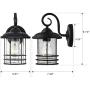 Emliviar 1-Light Outdoor Wall Lantern 2 Pack, Exterior Wall Lamp Light in Black Finish with Clear Seeded Glass -Twin Pack, OS-1803CW1