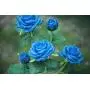 New Material Outdoor Realistic Solar Powered Rose Lights Flower Stake, for Garden Patio Yard Pathway Decoration, Blue