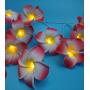 Fantasee 20 LED Pink Plumeria String Lights, Foam Artificial Plumeria Flower Lights Battery Operated Fairy Lights for Bedroom Home Wedding Hawaiian Luau Party Decor Fantasee 20 LED Pink Plumeria String Lights, Foam Artificial Plumeria Flower Lights Battery Operated Fairy Lights for Bedroom Home Wedding Hawaiian Luau Party Decor