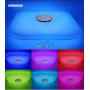 Upgrade Smartphone APP Ceiling Light Bluetooth Speaker with Remote,Dimmable RGB Color Changing, Daylight to The Warm Light, Music Ceiling Light Fixture for Bedroom Kids Room