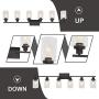 MELUCEE 6-Light Bathroom Vanity Light Fixture Vintage Industrial Oil Rubbed Bronze Wall Sconce Lighting with Clear Glass Shade for Living Room Bedroom Kitchen