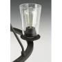 Progress Lighting P400016-143 Debut Chandeliers, Black