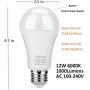 Aukora Dusk to Dawn Light Bulb, 12W (100-Watt Equivalent) Smart Sensor Light Bulbs Super Bright E26 Automatic On/Off Security Lights Outdoor/Indoor for Porch Garage Garden Patio(Cool White 2 Pack)