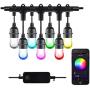HBN Smart OutdoorPatio Lights RGBW Color & White LED Lights Smart String Light-24ft, 12 Round Bulbs, 2.4 GHz Only, Works with Alexa/Google Assistant, App Controlled, No Hub Needed, IP65 Waterproof