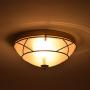 Loclgpm Gold Finish Flush Mount Ceiling Light, 2 Light Chandelier Fixture with Glass Shade for Living Room, Dining Room, Bedroom, Kitchen, Hallway
