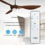 reiga 52-in Ceiling Fan with LED Light Kit Remote Control Modern Blades Noiseless Reversible Motor，6-speed, 3 color Temperature Switch (hand-painted)