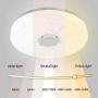 IYUNXI Starlight LED Ceiling Light with Bluetooth Speaker,36W 12 Inches Dimmable Color Temperature Changing Remote Control 110V Music Bluetooth Ceiling Light Fixture with Note Pattern for Bedroom