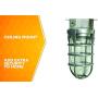 Woods Vandal Resistant Security Light With Ceiling Mount (150W Incandescent Bulb, Silver)