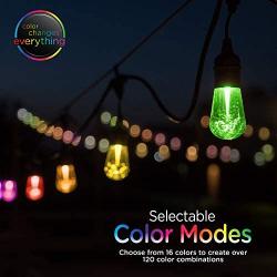 Enbrighten Vintage Seasons LED Warm White & Color Changing Café String Lights, Black, 24ft., 12 Premium Impact Resistant Lifetime Bulbs, Wireless, Weatherproof, Indoor/Outdoor, Commercial Grade, 37791