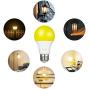 DEWENWILS 4 Pack LED Bug Light Bulbs Outdoor, A19 Yellow Light Bulb, 9W(60W Equivalent), 600LM, 2400K Amber Glow, Non-Dimmable, E26 Medium Screw Base, UL Listed