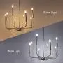 Wellmet 8-Light Modern Chandelier for Dining, Living Room, Bedroom and Kitchen Island Lighting, Contemporary Champagne Silver Hanging Pendant Ceiling Lights Fixture,26 inches Dia