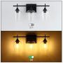 3-Lights Vanity Light Fixture, Industrial Wall Sconces with Clear Glass Shade, Vintage Wall Lighting Fixture for Bathroom Mirror Living Room Bedroom Kitchen Island, Matte Black Finish, 60W