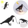 Crow Table Lamp, Birds LED Table Lamps Bedroom Resin Crow Desk Lamp Bedside Light Living Room Corridor Contemporary Romantic Modern Lamp Crow Table Lamp, Birds LED Table Lamps Bedroom Resin Crow Desk Lamp Bedside Light Living Room Corridor Contemporary Romantic Modern Lamp