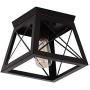 Modern Ceiling Light Black Rustic Ceiling Lighting Fixture Flush Mount with Metal Cage Shade for Hallway Bedroom Dining Room Entryway,E26