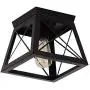 Modern Ceiling Light Black Rustic Ceiling Lighting Fixture Flush Mount with Metal Cage Shade for Hallway Bedroom Dining Room Entryway,E26