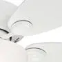 Hunter Fan 34 inch Snow White Finish Ceiling Fan with Painted Cased White Glass Light Kit (Renewed)