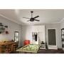 HUNTER 50336 Spring Mill Indoor / Outdoor Ceiling Fan with LED Lights and Pull Chain Control, 52'', Matte Black