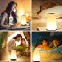 Table Lamp Touch Night Light - Portable Sensor Remote Control Bedside Lamps with Quick Rechargeable USB Dimmable Warm White Light 13 Colors RGB Table Lamp for Bedroom Living Room Office (Black Wood)