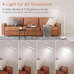 PHIVE LED Floor Lamp for Reading, Dimmable Gooseneck Standing Lamp (4 Color Modes, 5-Level Dimmer, 12W, Memory Function, Touch Control Floor Light for Living Room, Bedroom, Office) White