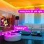 Smart Led Strip Lights WiFi 50ft,2 Rolls of 25ft,Dalattin Compatible with Alexa Led Lights Music Sync 5050 16 Million Colors Changing Phone App and 24 Key Remote for Rome,Kitchen