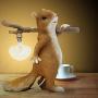 Modern Table Lamp for Living Room,Sikevht Squirrel Creative Desk Lamp USB Led Light Warm Light Resin Material for Bedroom, Office, Work, Kids Room