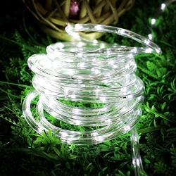 LE LED Rope Lights,33 ft 240 LED, Low Voltage, Daylight White, Waterproof, Connectable Clear Tube Indoor Outdoor Light Rope and String for Deck, Patio, Pool, Bedroom, Boat, Landscape Lighting and More