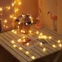 Koxly Globe String Lights 49 Ft 100 LED Waterproof Decoration Light Strings Plug in Fairy Lights with Remote Control for Indoor Outdoor Bedroom Christmas Party Xmas Tree