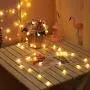 Koxly Globe String Lights 49 Ft 100 LED Waterproof Decoration Light Strings Plug in Fairy Lights with Remote Control for Indoor Outdoor Bedroom Christmas Party Xmas Tree
