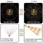 PXB 2 Pack Starburst Sphere Lights,200 LED Firework Lights, 8 Modes Dimmable Waterproof Hanging Fairy Light, Copper Wire Lights for Patio Parties Christmas (2 Pack Solar Operated)