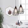 Riomasee Industrial Plug in Pendant Lighting 14.27 Ft Hanging Light Cord with On/Off Switch,Vintage Wire Cage Black Metal Hanging Lamp