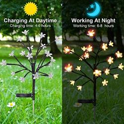 Solar Garden Lights Outdoor - 2 Pack Warm White Cherry Blossoms Flower Lights for Yard,Lawn,Pathway,Backyard,Christmas,Party