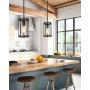 Eapudun Farmhouse Pendant Light, 1-Light Metal Wire Cage Hanging Lantern, Matte Black and Wood Finish, PDA1141-FBDT